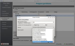 Abbildung 5: Im UEFI-Modus benötigt jedes Linux (hier: Mint) eine EFI-Boot-Partition; ist bereits Windows installiert, können Sie eine vorhandene EFI-Partition nutzen.