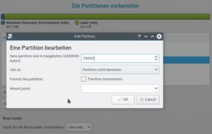 Abbildung 6: Beim Anlegen einer neuen Partition wählen Sie Größe, Dateisystem und Moint Point aus.