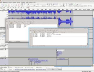 Abbildung 7: Marken für Einsätze, Notizen, Songtexte: Die Textspuren in Audacity bieten zahlreiche praktische Einsatzmöglichkeiten. Die Texte lassen sich als einfache Textdateien exportieren und in einem Editor bearbeiten.
