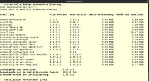 Abbildung 1: Mit den richtigen Einstellungen gibt Pacman deutlich mehr Informationen zu den anstehenden Aktualisierungen aus.