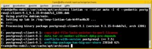 Abbildung 5: Das Tool Lintian hilft Entwicklern, ein Paket auf Verstöße gegen die Debian Policies zu untersuchen, wobei es viele Aspekte mit einbezieht.