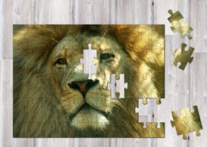 Abbildung 1: Mit dem Puzzlefilter, ein paar Drehungen und ein bisschen Zurechtrücken entstehen kreative Bilder.