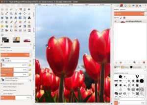 Abbildung 2: Mit dem Werkzeug "Verschmieren" verwandeln Sie Fotos und erzielen künstlerische Effekte.