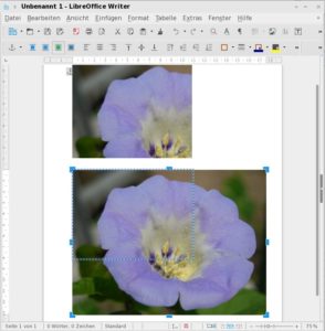 Abbildung 4: LibreOffice 5 bietet eine neue Funktion zum Beschneiden von Bildern mit der Maus.