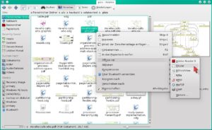 Abbildung 4: Das Kontextmenü enthält hier u. a. die Einträge Adobe Reader 9, Okular (Dateibetrachter) und KPDF – die Datei wurde also als PDF-Dokument erkannt. Bei einem Klick darauf öffnet sich automatisch die oberste Anwendung, hier der Adobe Reader.