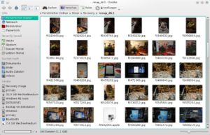 Abbildung 5: Nach der Datenrettung enthält der Zielordner alle von PhotoRec gefundenen Bilder. Überprüfen Sie diese in einem Dateibetrachter wie Okular.