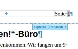 Abbildung 8: Der Kopfzeile können Sie Seitenangaben hinzufügen.