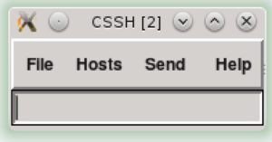 Abbildung 2: Das Eingabefenster von Cluster SSH.