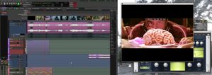 Abbildung 8: Video-Nachbearbeitung klappt am besten mit zwei Monitoren: Ardours Videofenster hält sich rücksichtslos im Vordergrund, Plugin-Oberflächen müssen zurückstehen.