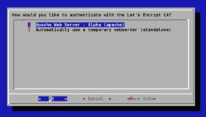 Abbildung 2: Let's Encrypt bietet als Voreinstellung den Apache Server als Konfigurationsziel an: In der Regel übernehmen Sie diese.