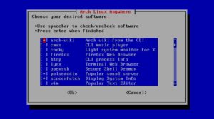 Abbildung 3: Neben der Desktop-Umgebung installiert Arch Anywhere auf Wunsch gleich zahlreiche nützliche Pakete.