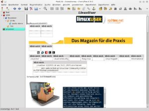 Abbildung 6: Beim Import von HTML-Seiten treten eine Reihe von Problemen auf, die sich nur manuell korrigieren lassen.