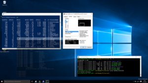 Abbildung 7: Drei Shells: Vorinstalliert sind der Klassiker "cmd.exe" (unten links) und die Power Shell (oben links); Linux-Anwender rüsten als erstes die Bash nach (rechts).