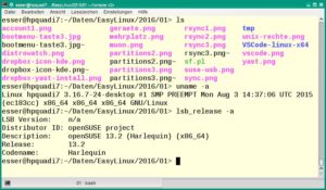 Abbildung 8: Die Standard-Shell von Linux heißt "bash". Über Shell-Befehle lassen sich viele Arbeiten schneller als in GUI-Anwendungen erledigen.