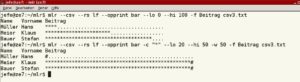 Abbildung 14: Mit dem Befehl <code srcset=