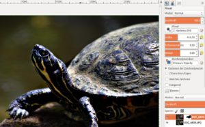 Abbildung 1: In Kombination mit der Ebenenmaske eignet sich der Filter "Unscharf maskieren" gut dazu, Teilbereiche eines Fotos zu schärfen.