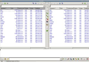 Abbildung 4: Der Dateimanager EmelFM2 wartet mit einer GTK-basierten Oberfläche auf und tritt in die Fußstapfen des Midnight Commanders.