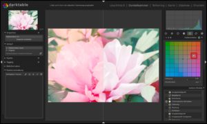 Abbildung 5: Die Stärke von Darktable liegt in äußerst wirkungsvollen Filtern mit oft nur wenigen Einstellungen: Ein Ziehen eines Anfassers in Richtung Rottöne bessert die blassen Bildfarben nach.