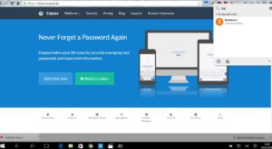 Abbildung 7: Das Browser-Plugin in Chrome unter Windows 10 bietet dieselben Funktionen wie auf anderen Plattformen mit anderen Browsern.