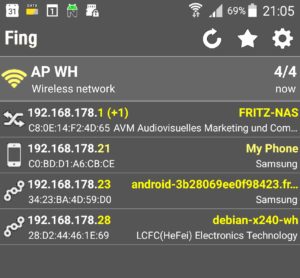 Abbildung 2: Das Netz im Überblick mit Fing.