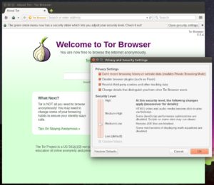 Abbildung 3: Das Sicherheitslevel des Tor-Browsers lässt sich mühelos per Schieberegler an die eigenen Bedürfnisse anpassen.