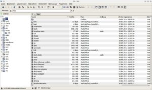Abbildung 1: Mit dem links eingeblendeten Verzeichnisbaum orientiert sich XFE an der klassischen Fensteraufteilung älterer Dateimanager unter Windows.