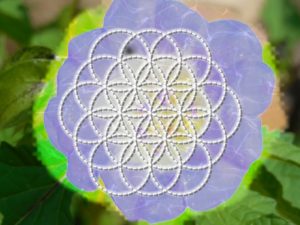 Abbildung 19: Die "Blume des Lebens" ist ein Beispiel für einen der zahlreichen verfügbaren Rendereffekte.