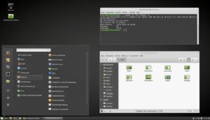 Abbildung 2: Linux Mint 18.0 Cinnamon verwendet die Mint-Eigenentwicklung Cinnamon in aktueller Version 3.0.