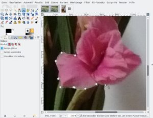 Abbildung 21: Ein effizientes Bereichsauswahlwerkzeug wie hier in Gimp hat Pixelitor bisher noch nicht zu bieten.