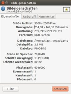 Abbildung 4: Analysieren Sie Ihr Bild und finden Sie mehr heraus über die Größe, die Auflösung, den Farbraum usw.