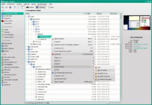 Abbildung 4: Dolphin ist der Standard-Dateimanager von KDE (Linux).