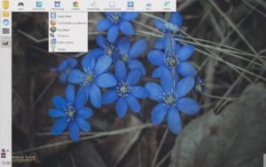 Abbildung 1: Der optisch ansprechende FVWM-Desktop von Austrumi bringt außer einem Panel am linken Rand nur wenige Elemente mit.