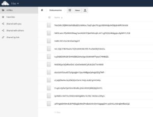Abbildung 4: Nach dem Synchronisieren mit dem Owncloud-Server sehen Sie im Browser die verschlüsselten Dateien auf dem Server. Die Software hat selbst die Namen der Dateien unkenntlich gemacht.