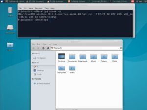 Abbildung 2: UbuntuBSD mit XFCE und dem aktuellen Kernel aus FreeBSD 10.3.