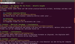 Abbildung 2: Bei einer einfachen Suche ohne Parameter zeigt das Programm zehn Ergebnisse im Terminal an.