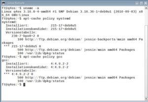 Abbildung 3: Bei den grundlegenden Systemkomponenten orientiert sich Q4OS am aktuellen Debian "Jessie".
