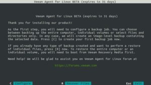 Abbildung 1: Die Bedienoberfläche des Veeam Agent for Linux führt im Terminal durch die einzelnen Schritte.