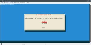 Abbildung 1: Während der Installation von Apt-fast aus dem Ubuntu-PPA konfigurieren Sie unter anderem den zu verwendenden Paketmanager.