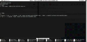 Abbildung 1: Mit via Zrun on-the-fly dekomprimierten Daten sieht das Ergebnis im Editor so aus wie erwartet.