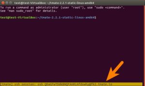 Abbildung 3: Tmate entspricht quasi Teamviewer für die Konsole. Die Session-ID muss der Hilfesuchende dem Helfer mitteilen.