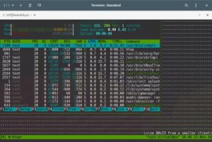 Abbildung 4: Über die Tmate-Session-ID loggen Sie sich ohne Port Forwarding und SSH-Server auf dem entfernten Rechner ein.