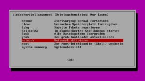 Abbildung 6: Aus der Root-Shell heraus lässt sich auch bei einem komplett zerschossenen System Tmate installieren und die Fernwartung starten.
