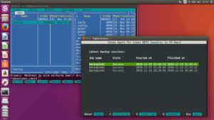 Abbildung 6: Zum Wiederherstellen von Dateien und Ordnern verwenden Sie einen beliebigen Dateimanager, etwa den bewährten Midnight Commander.