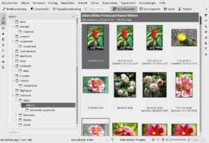 Abbildung 26: Digikam gliedert die Fotosammlung mit Tags, aber auch auf der Basis des Aufnahmedatums oder bei Handyfotos nach GPS-Koordinaten.