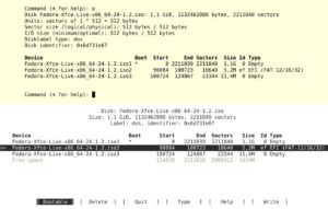 Abbildung 2: Dateisysteme in einem gemounteten ISO-Image (oben in Fdisk, unten in Cfdisk). 