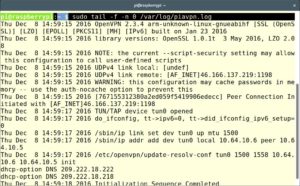 Abbildung 2: Probleme beim Verbindungsaufbau zum VPN-Server ermitteln Sie anhand des Logs in <code>/var/log/piavpn.log</code>. 