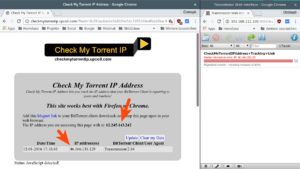Abbildung 3: Mit Seiten wie Check My Torrent IP pr&uuml;fen Sie, ob Dienste wie Bittorrent Ihre Daten &uuml;ber das VPN schicken. 