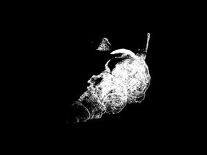 Abbildung 9: Die von Enfuse mit der Option <code>--save-masks</code> erzeugten harten Masken lassen sich auch in Gimp laden und manuell nachbearbeiten.