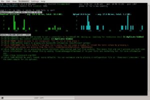Abbildung 7: Der Monitor in Whonix-Gateway zeigt &uuml;bersichtlich, was sich gerade auf der durch Tor getunnelten Leitung tut. 