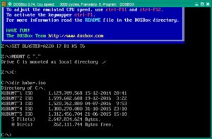 Abbildung 9: DOSBox emuliert einen PC und bringt auch gleich ein eingebautes DOS mit. 